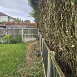 504937845 1494977485079984 6957464710269894964 n