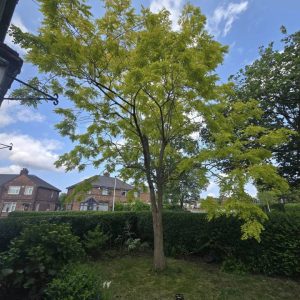 505110636 1494976458413420 2514760332663703527 n